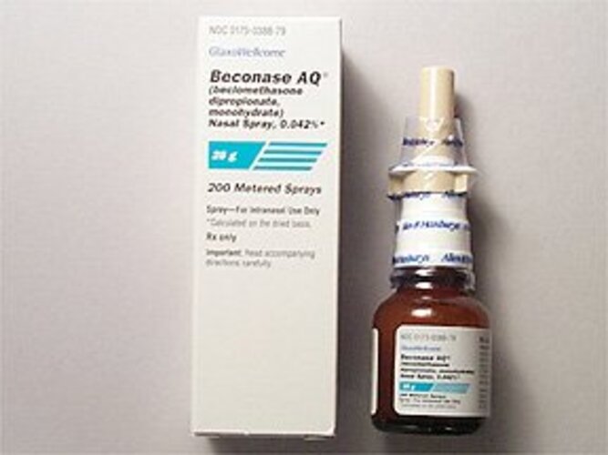 Beclomethasone manufacturers & suppliers