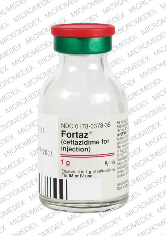 Ceftazidime Injectable (IV/IM) manufacturers & suppliers