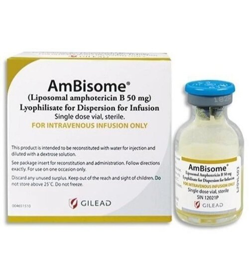Liposomal Amphotericin B Injectable manufacturers & suppliers