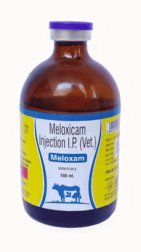Meloxicam Injectable solution (IM, IV) manufacturers & suppliers