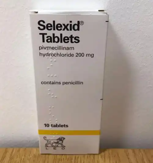 Pivmecillinam hydrochloride manufacturers & suppliers